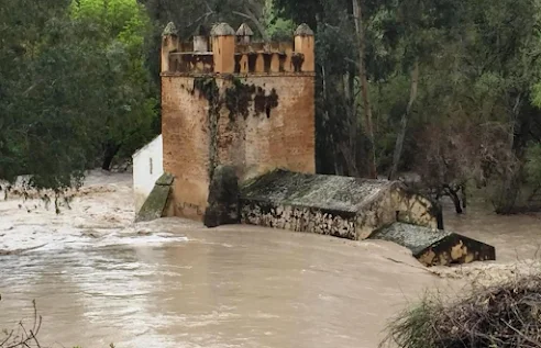 La gestión de los riesgos en el patrimonio histórico y cultural en España hoy
